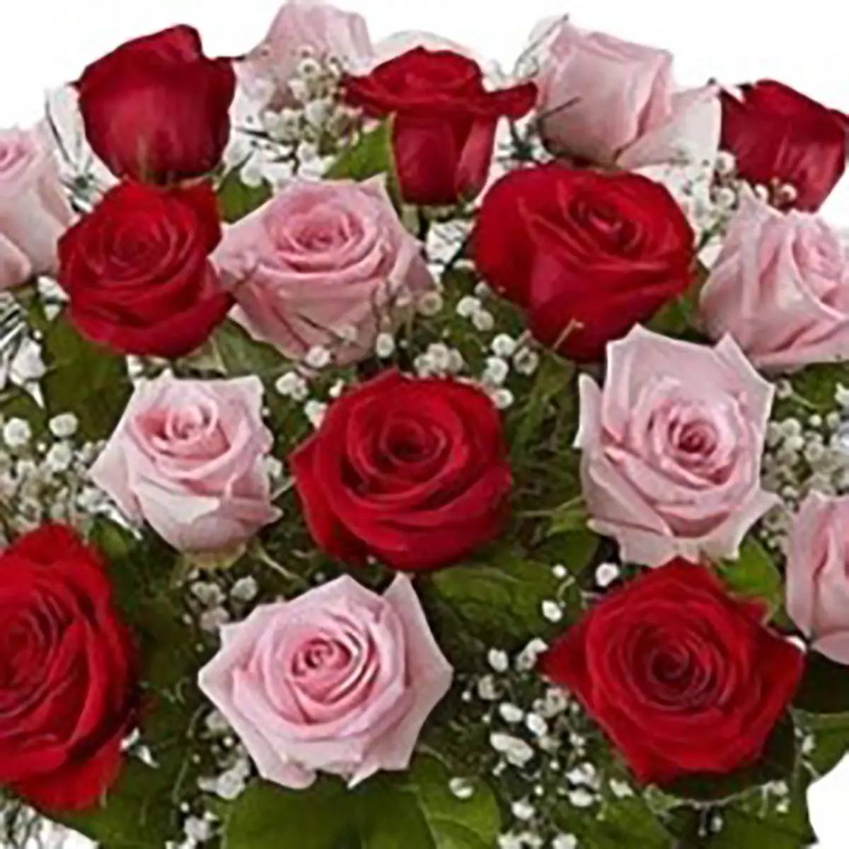 Ramo de rosas rojas y rosadas 2 Ramo de rosas rojas y rosadas 2