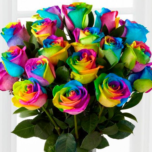 Rosas de tallo largo color arcoiris 2 Rosas de tallo largo color arcoiris 2