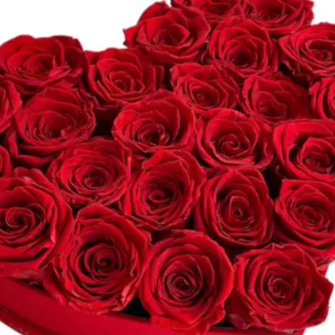 caja de corazon rosas rojas 2 caja de corazon rosas rojas 2