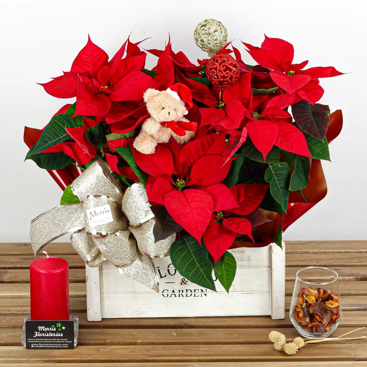 caja de plantas de poinsettia navidad pascua 2 caja de plantas de poinsettia navidad pascua 2