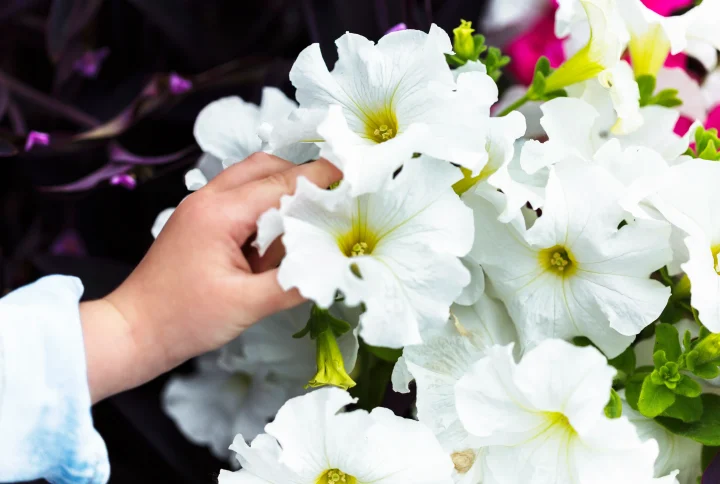 Centros de flores para Todos los Santos: cómo elegir el más adecuado