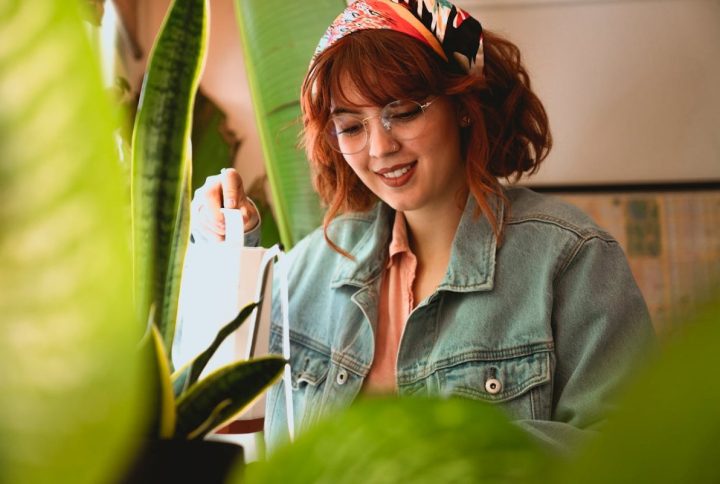 ¿El agua del aire acondicionado es buena para las plantas?