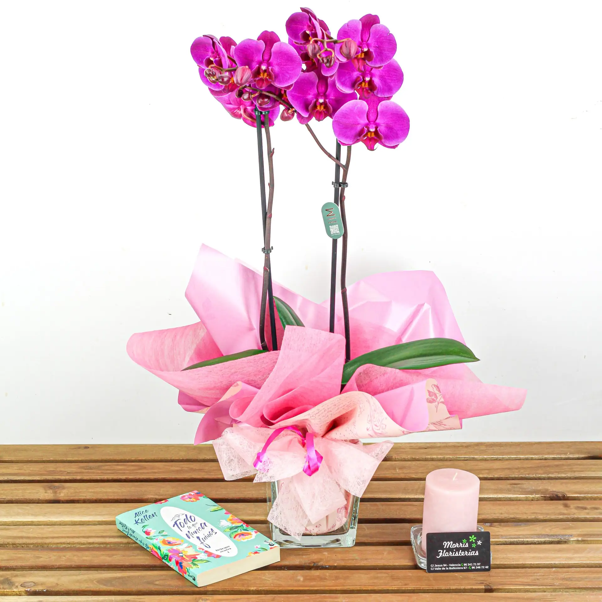 orquidea phalaenopsis fucsia magenta planta 3 orquidea phalaenopsis fucsia magenta planta 3