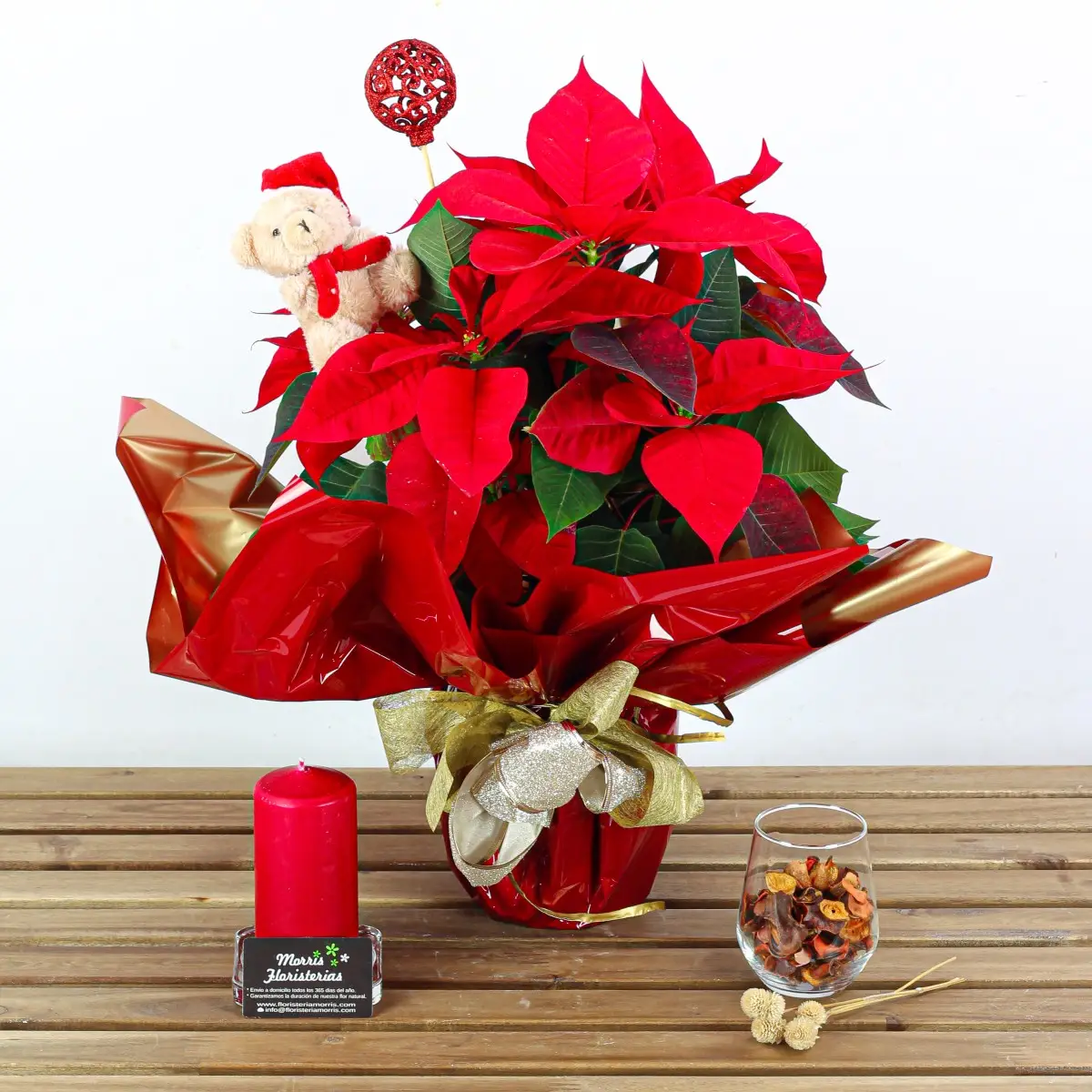 planta poinsettia pascua navidad 1 planta poinsettia pascua navidad 1