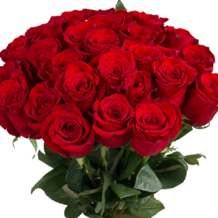 ramo de 25 rosas 2 ramo de 25 rosas 2