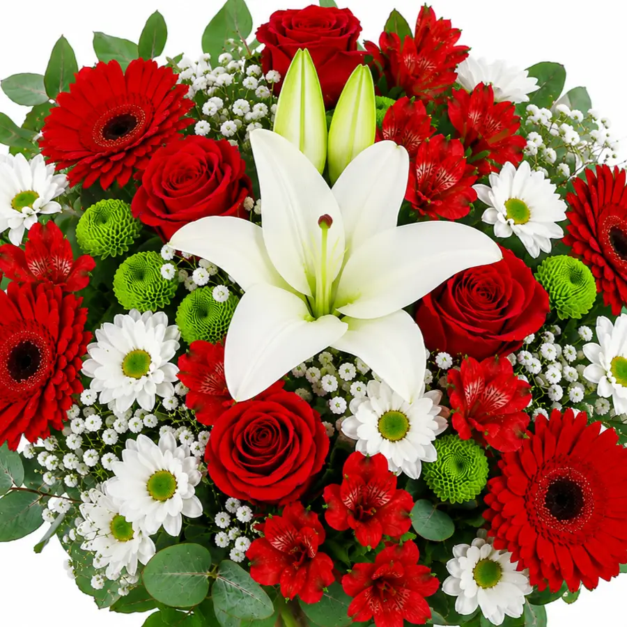 ramo de flores rojo y blanco ramo de flores rojo y blanco