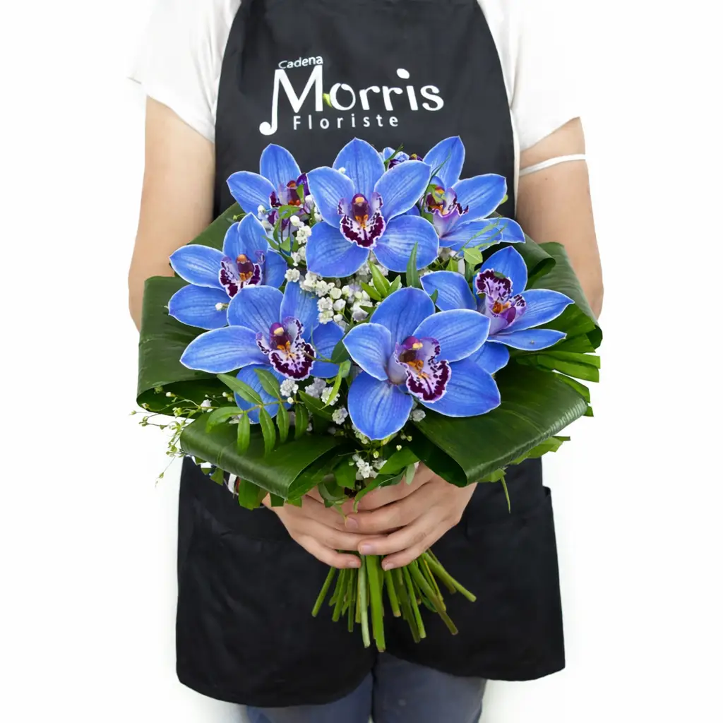 ramo de orquideas cymbidium azules 2 ramo de orquideas cymbidium azules 2