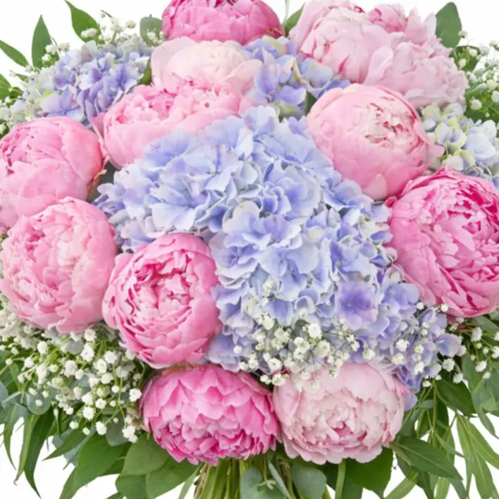 ramo peonias hortensias ramo peonias hortensias